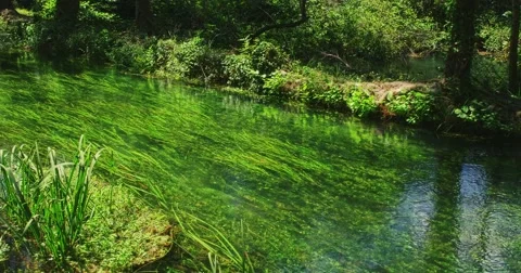 4K Green Krka River Stock Footage 46029702