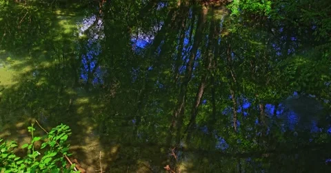 4K Green Krka River Stock-Footage 46030122