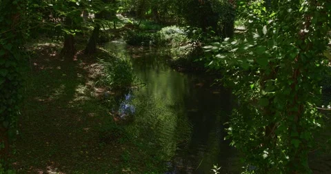 4K Green Krka River Stock Footage 46030177