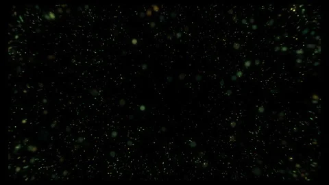 4k Green Particles Explosion. Motion Background. Glitters particle. Stock Footage 304217734