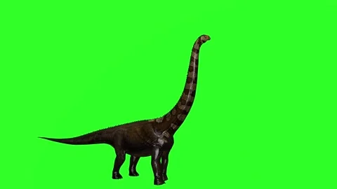 "4K Green Screen 3D Brachiosaurus Drinking Water and Eating from Tall Trees - Re Stock Footage 282610662