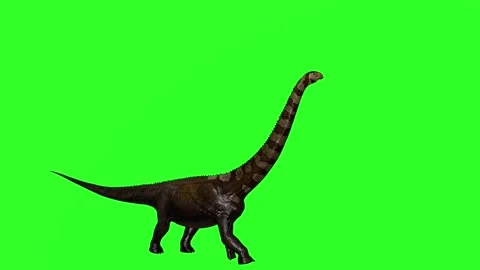 "4K Green Screen 3D Brachiosaurus Walking, Eating from Trees, and Standing on Hi Stock Footage 282611993