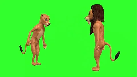 4K Green Screen 3D Lion and Lioness Meeting and Interacting Playfully Stock Footage 282730232