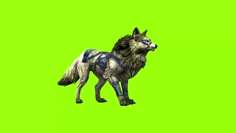 4K Green Screen 3D Mythical Wolf Howling and Standing Majestically Stock Footage 282737248