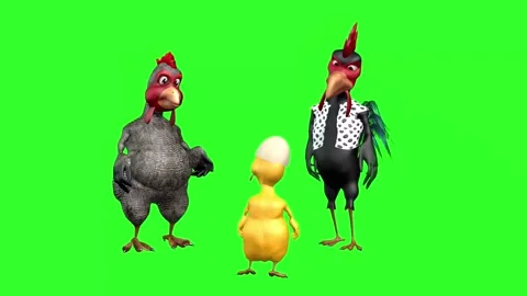 4K Green Screen 3D Rooster and Hen Talking to Their Chick and Explaining Stock Footage 282661624