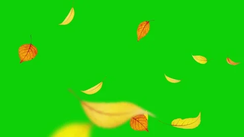 4K green screen clip mixed autumn leaves in warm red orange yellow tones. Stock Footage 321860899