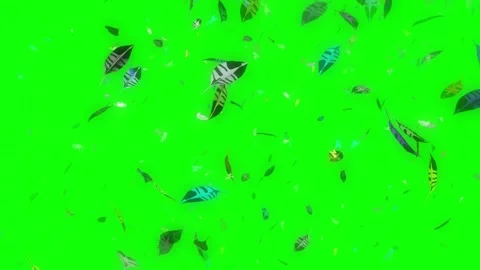 4k Green Screen Leaves Falling Background Stock Footage 328468550