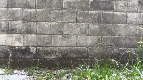 4K: Grey Grunge Brick Wall Background Stock Footage 206343657