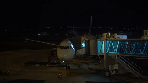 4K Ground Crew Busy Getting A Plane Ready To Fly In Night At Busan Airport-Dan Stock Footage 78130848