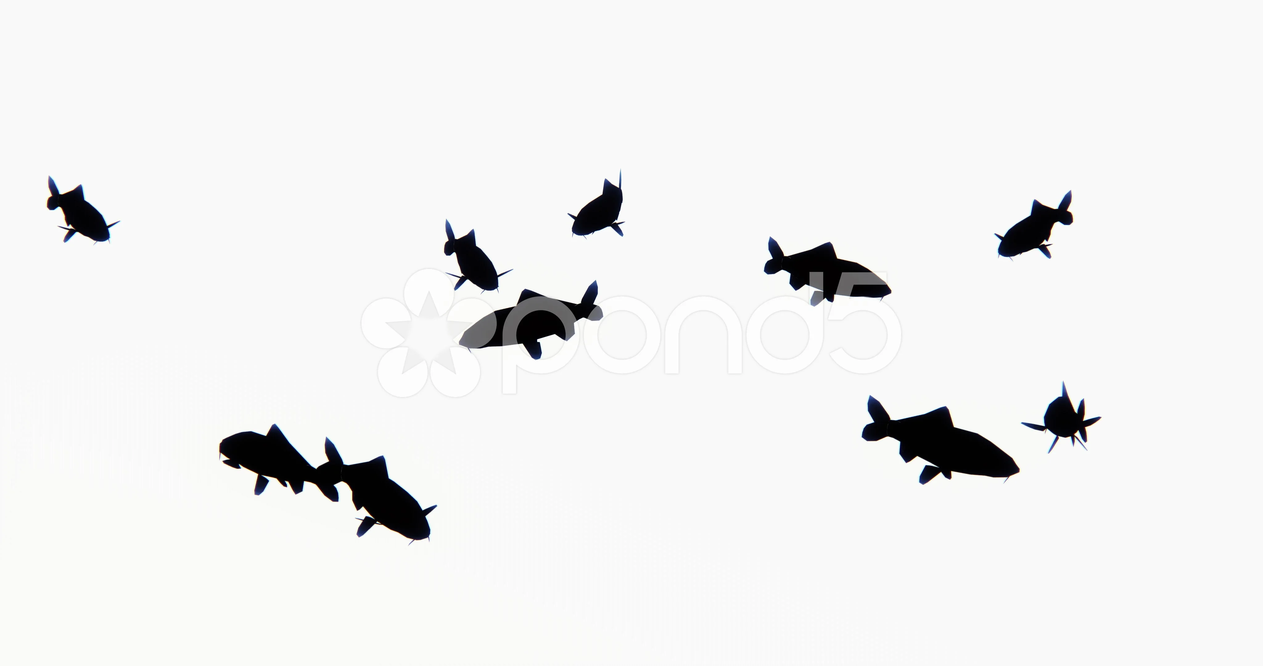 Silhouetted Free Diver Swimming Through School Of Fish In