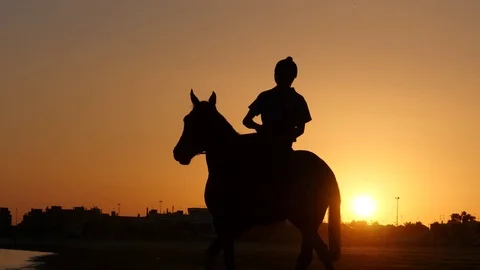 4k. Group of horses training in the sand of the beach Stock-Footage 75421647