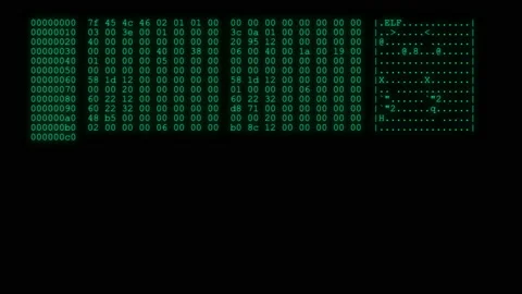 4K - Hacker code running down a computer screen terminal . Video stock 149095867