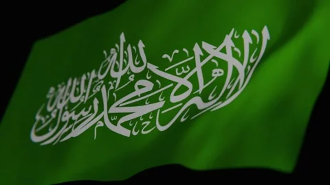 4K Hamas Flag 16s Video stock 345092248