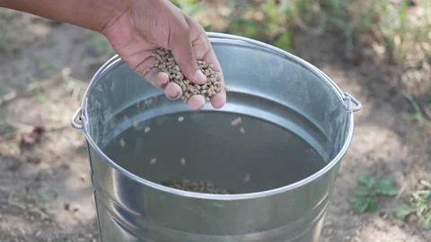 4k Hand stirring Chicken FEED in farm bucket 動画素材 220558574