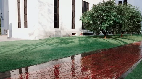 4K handheld slow motion shot of a sprinkler in a park watering plants Stock-Footage 102573283
