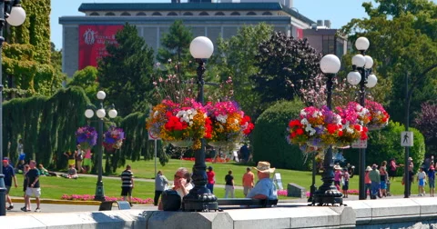 4K Hanging Flower Baskets, Downtown Victoria Tourists Stock Footage 41391650