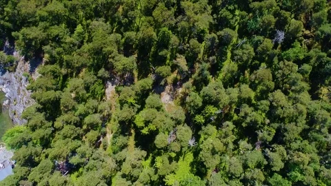 4K HD Aerial view camera moves rising up from green forest island filmed down Stock Footage 78573533