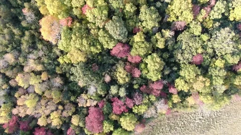 4K- HD Drone Flight Looking Down Over Landscape and Fields Video stock 142026975