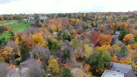 4K- HD Drone Flight Navigation Through Beautiful Fall Trees Video stock 142026057
