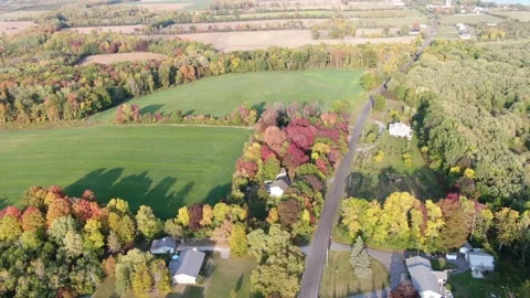 4K- HD Drone Flight Orbiting Group of Trees in Fall Sunset High Altitude Stock-Footage 142026452