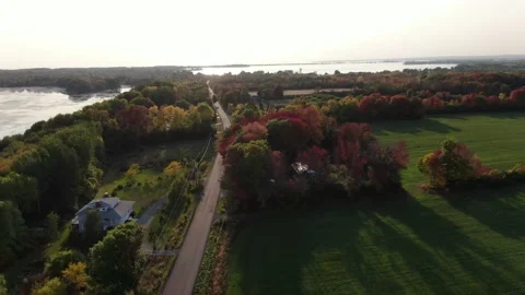 4K- HD Drone Flight Orbiting Group of Trees in Fall Sunset Low Altitude Stock-Footage 142026453