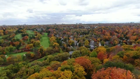 4K- HD Drone Flight Over Beautiful Fall Trees Video stock 142026061