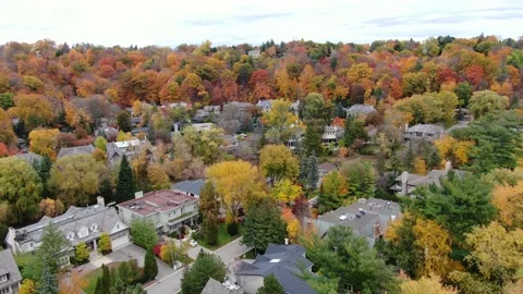 4K- HD Drone Flight Over Beautiful Fall Trees Through Residential Area Stock-Footage 142026200