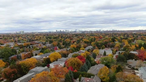 4K- HD Drone Flight Over Beautiful Fall Trees Through Residential Area in Autumn Video stock 142026217