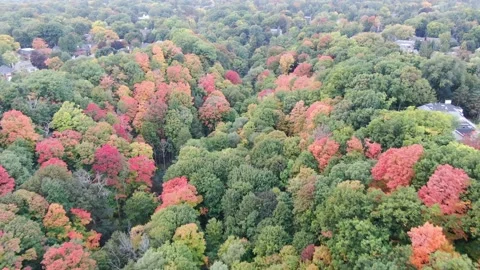 4K- HD Drone Flight Over Landscape in Don Valley Brick Works Park Toronto Stock-Footage 142026419