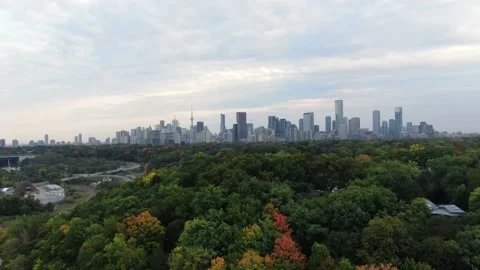 4K- HD Drone Flight Over Trees Through Toronto Downtown Skyline Video stock 142026961
