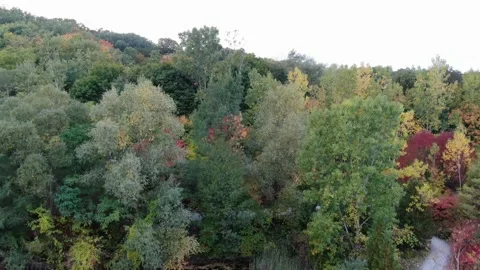 4K- HD Drone Flight Taking Off in Don Valley Brick Works Park Toronto Stock-Footage 142026423