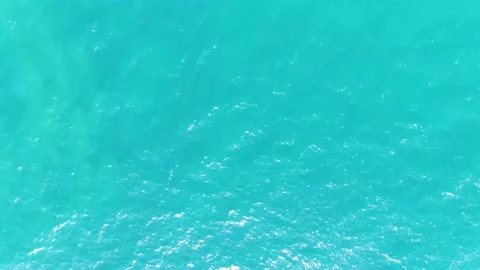 4K- HD Drone Flight Through Sandbanks Park in Prince Edward County Beach Video stock 142027032