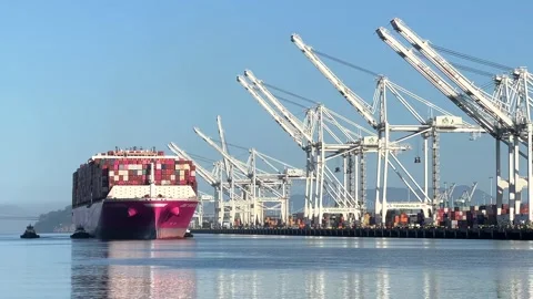 4K HD video Cargo Ship ONE FRONTIER entering Port of Oakland Stock Footage 322073582