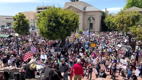 4K HD video No Kings Day March in Alameda, CA Stock Footage 322073583