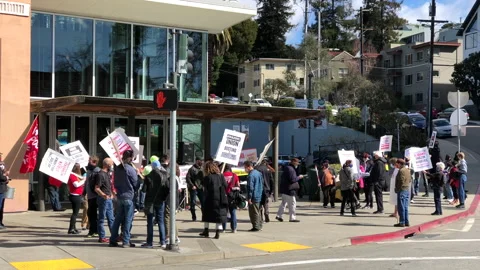 4K HD video protesting in solidarity with Alabama Amazon workers Stock Footage 149025472