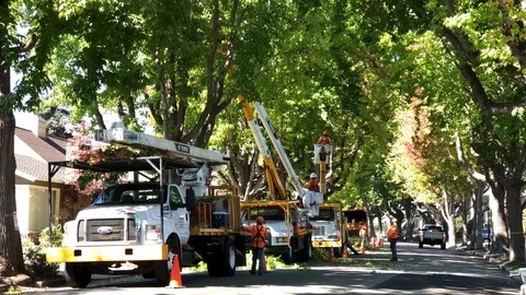 4K HD video Tree Trimmer 03 Stock Footage 97553555