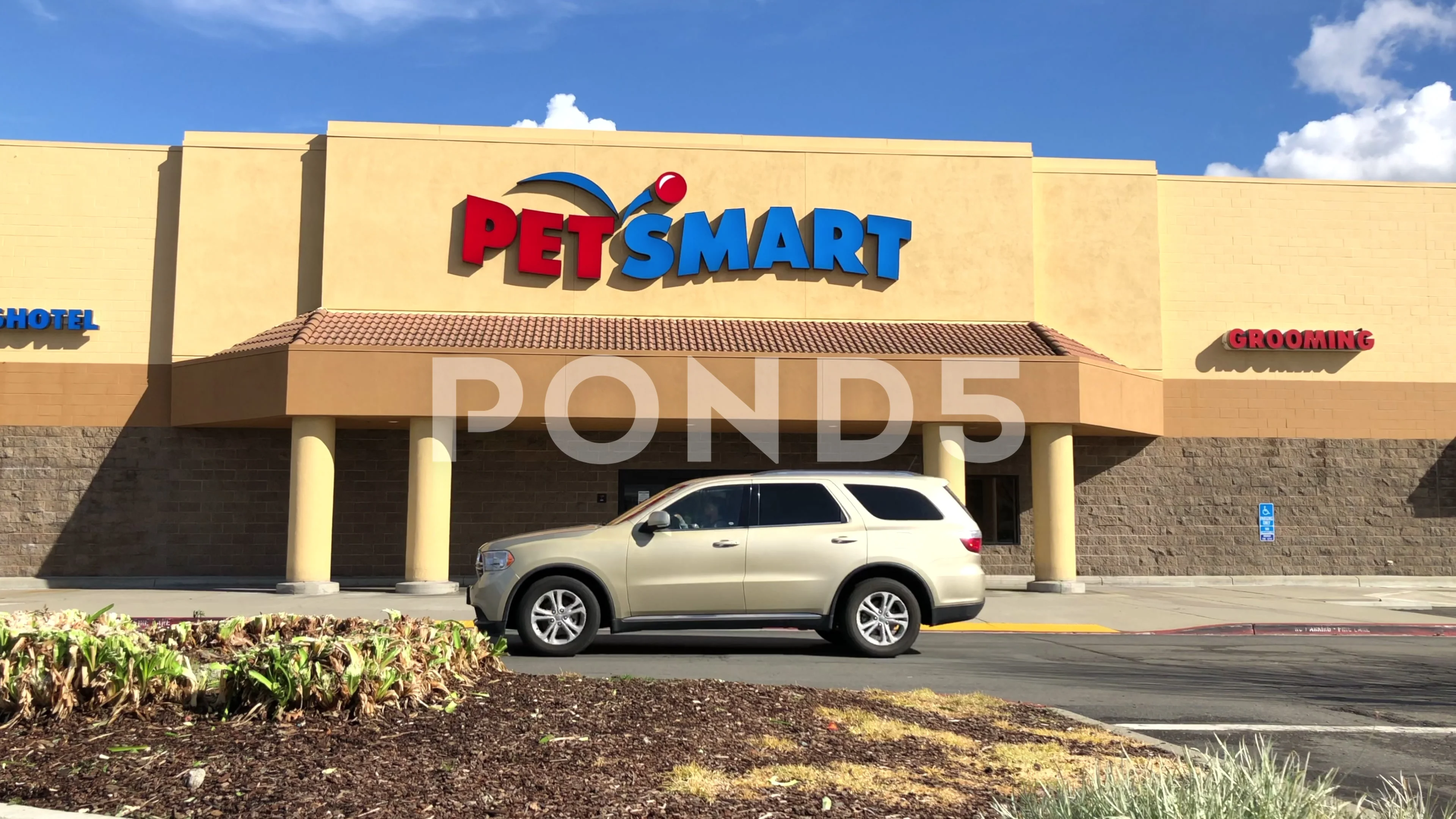 petsmart rivergate