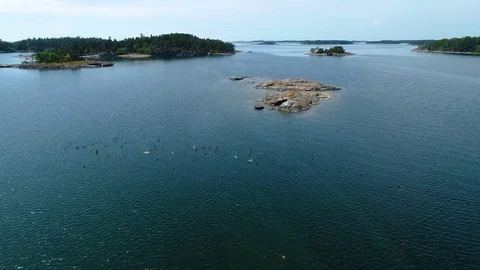 4K HD view with drone flying low over sea and lots of birds swimming Stock Footage 78603654