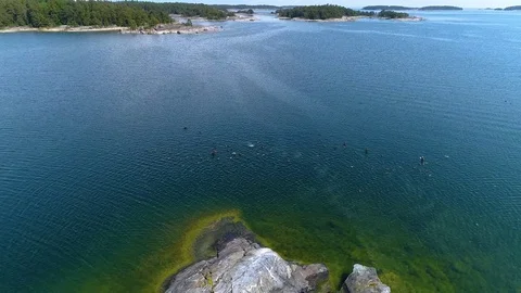 4K HD view with drone flying low over sea and lots of birds swimming Stock Footage 78603660
