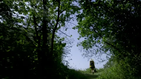 4k HDR Corfu walking through grass, flying Insects behind Tourist Woman 10Bit Video stock 198420684