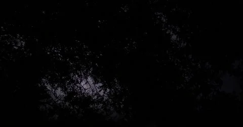 4K Heat Lightning Flashes Dark Night Sky Video stock 66201771
