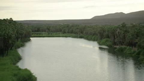 4K Heli Aerial Baja Oasis 2 Stock Footage 139411341