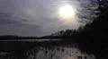 4k Hidden marshland nature reserve Viehmoor cold winter season 4k or 4k+ Resolution