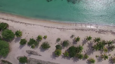 4K High Up Beach Tree Tops and Distant Shore Stock Footage 63473053