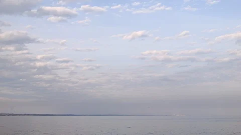 4K high-motion shooting of see and sky with birds 库存影片 100131888