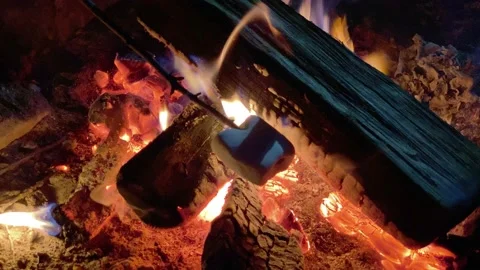 4K High Quality Campfire roasting marshmellows #3. (LOG C color) Stock Footage 138129555