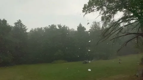 4K High Quality High shutter speed rain in a field. (LOG C color) Stock Footage 138128775
