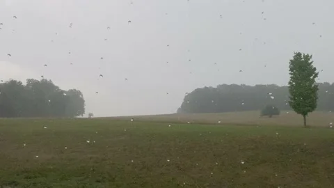 4K High Quality rain with field in the background (LOG C color) Stock Footage 138128762