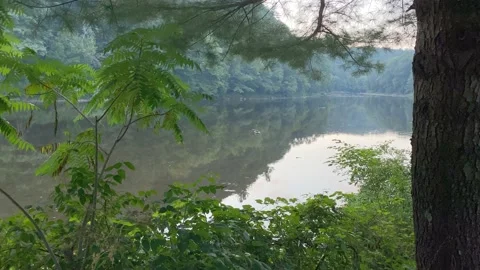 4K High Quality Smoke on a river and dusk. (LOG C color) Stock Footage 138127855