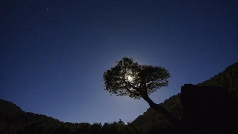 4K High quality Timelapse of  landscape of Conguillio national park, Chile Stock Footage 98305138